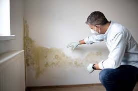 Mold Odor Removal Services in Teaticket, MA